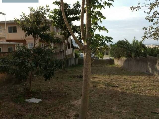 #1870 - Terreno para Venda em Florianópolis - SC - 3