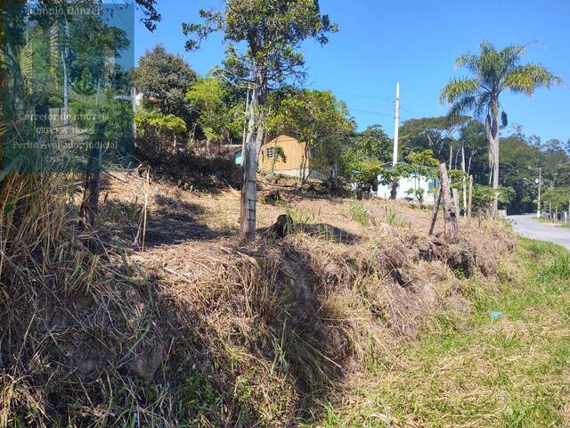 Terreno para Venda em Florianópolis - 4