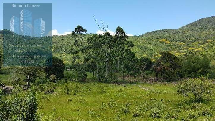 Fazenda à venda com 2 quartos, 125000m² - Foto 3