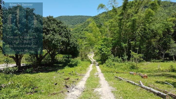 Fazenda à venda com 2 quartos, 125000m² - Foto 5