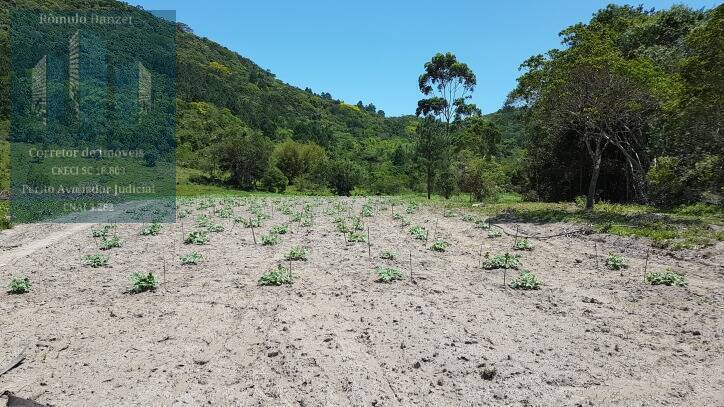 Fazenda à venda com 2 quartos, 125000m² - Foto 6