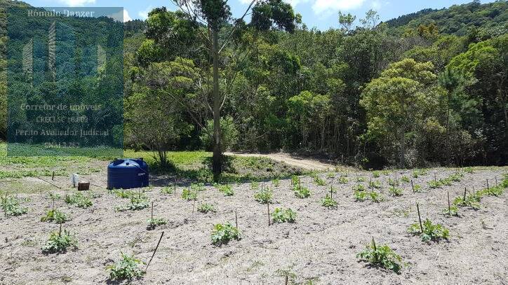 Fazenda à venda com 2 quartos, 125000m² - Foto 7