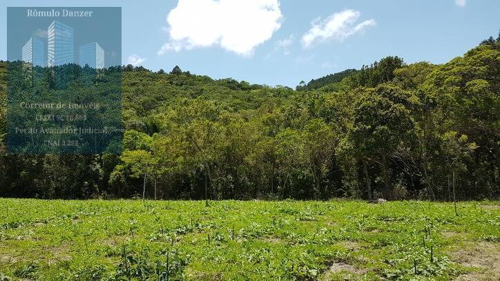 Fazenda à venda com 2 quartos, 125000m² - Foto 8