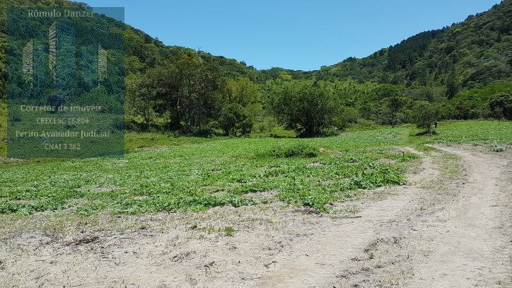 Fazenda à venda com 2 quartos, 125000m² - Foto 9