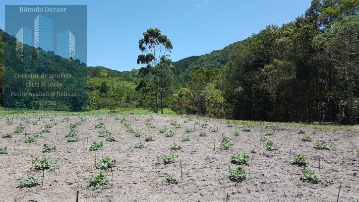 Fazenda à venda com 2 quartos, 125000m² - Foto 10