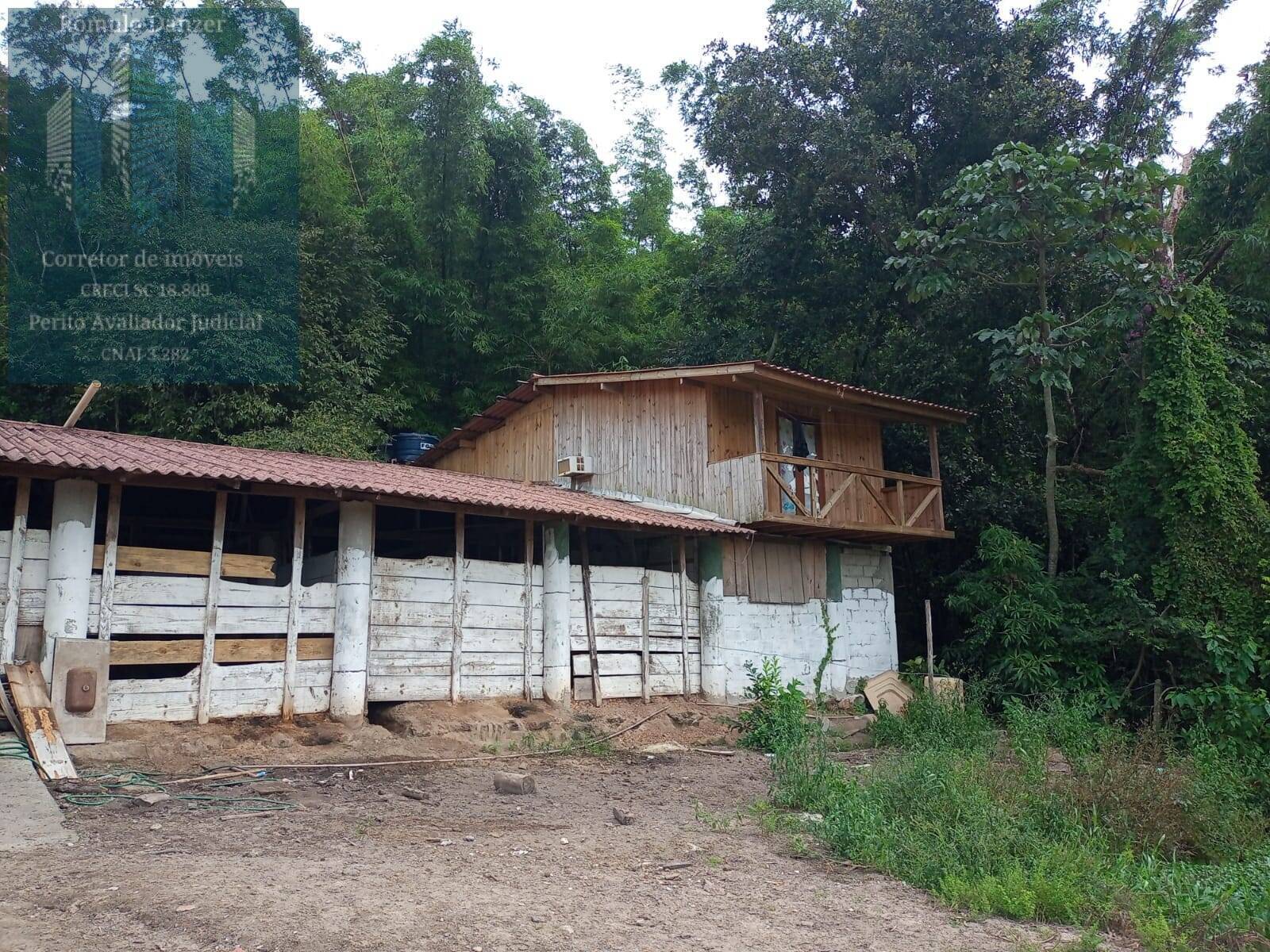 Fazenda à venda com 2 quartos, 80m² - Foto 4