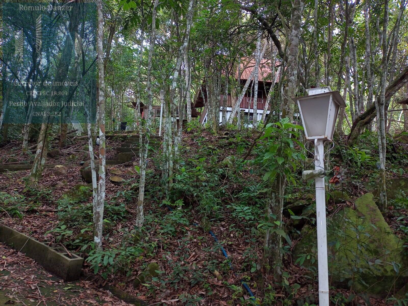 Fazenda à venda com 2 quartos, 120m² - Foto 17