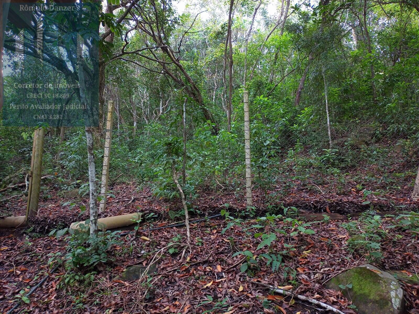 Fazenda à venda com 2 quartos, 120m² - Foto 21