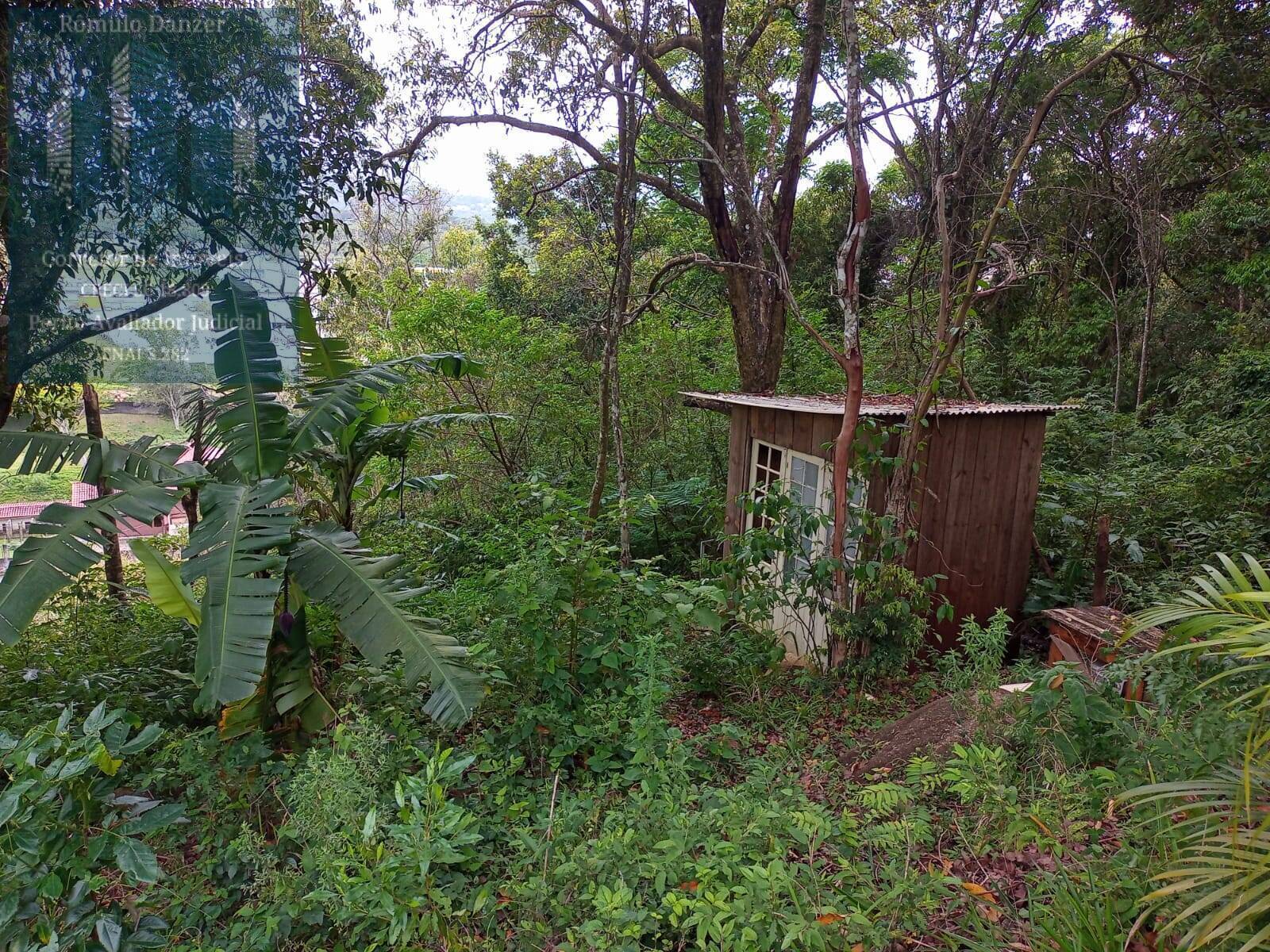 Fazenda à venda com 2 quartos, 120m² - Foto 41