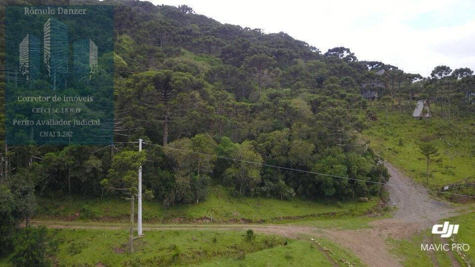 Fazenda à venda, 10000m² - Foto 2