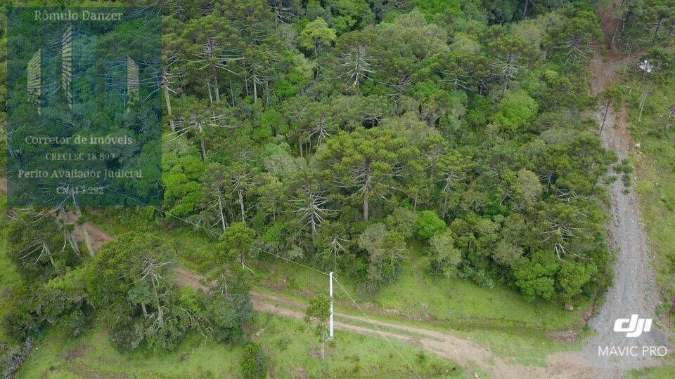 Fazenda à venda, 10000m² - Foto 4