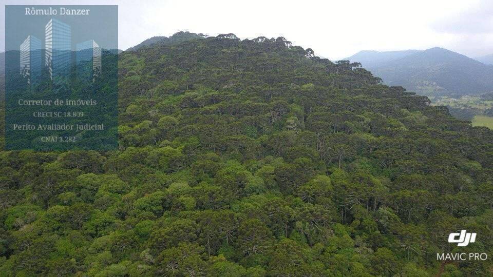 Fazenda à venda, 10000m² - Foto 5