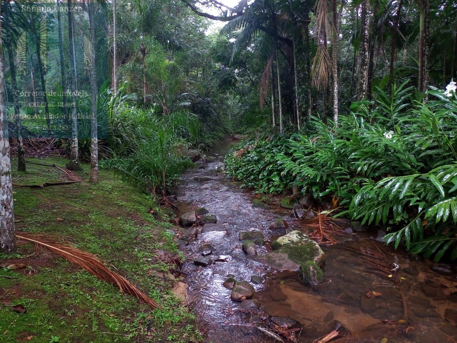 Fazenda à venda com 3 quartos, 250m² - Foto 28