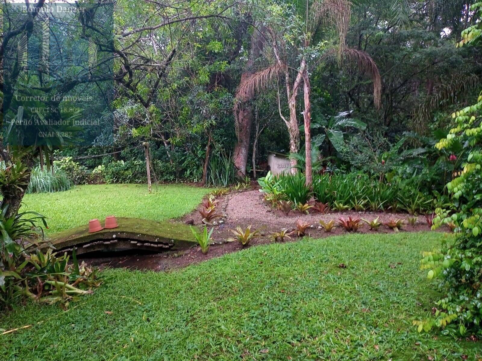 Fazenda à venda com 3 quartos, 250m² - Foto 32