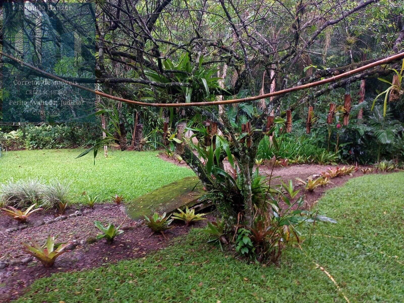 Fazenda à venda com 3 quartos, 250m² - Foto 36