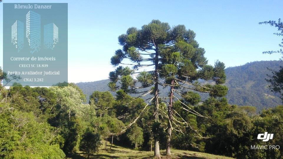 Fazenda à venda, 80000m² - Foto 4