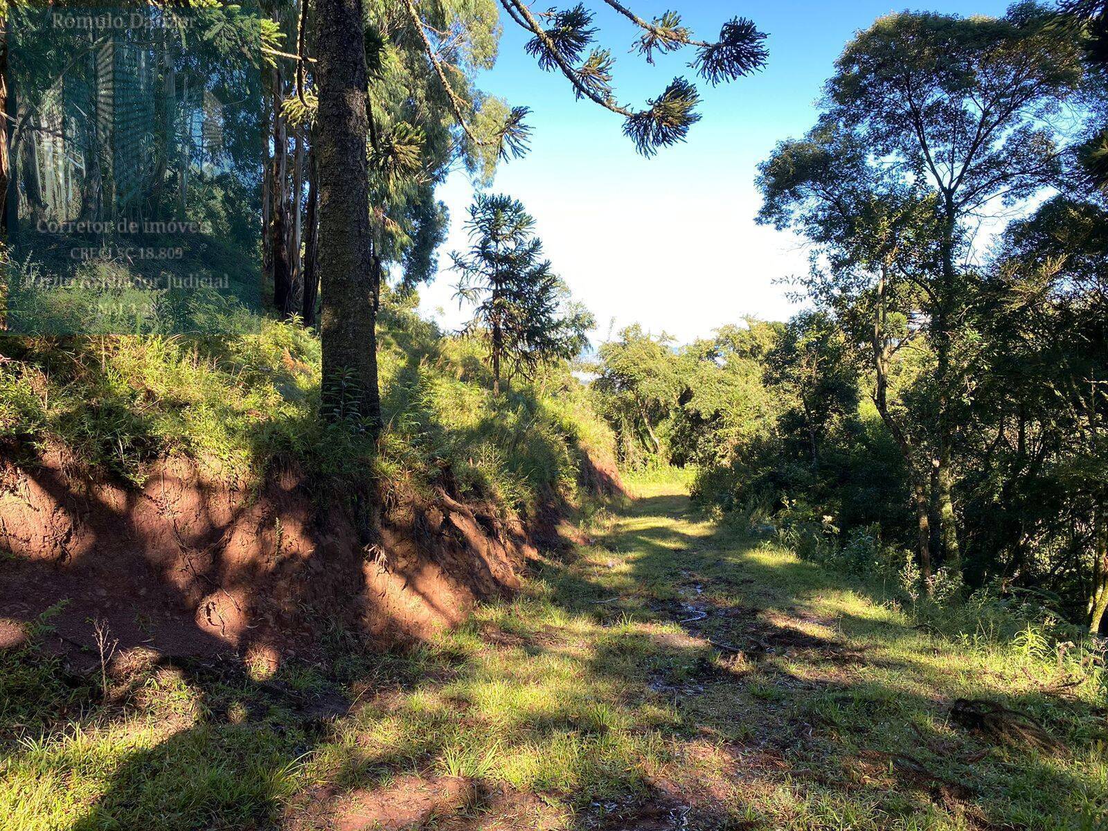 Fazenda à venda, 80000m² - Foto 1