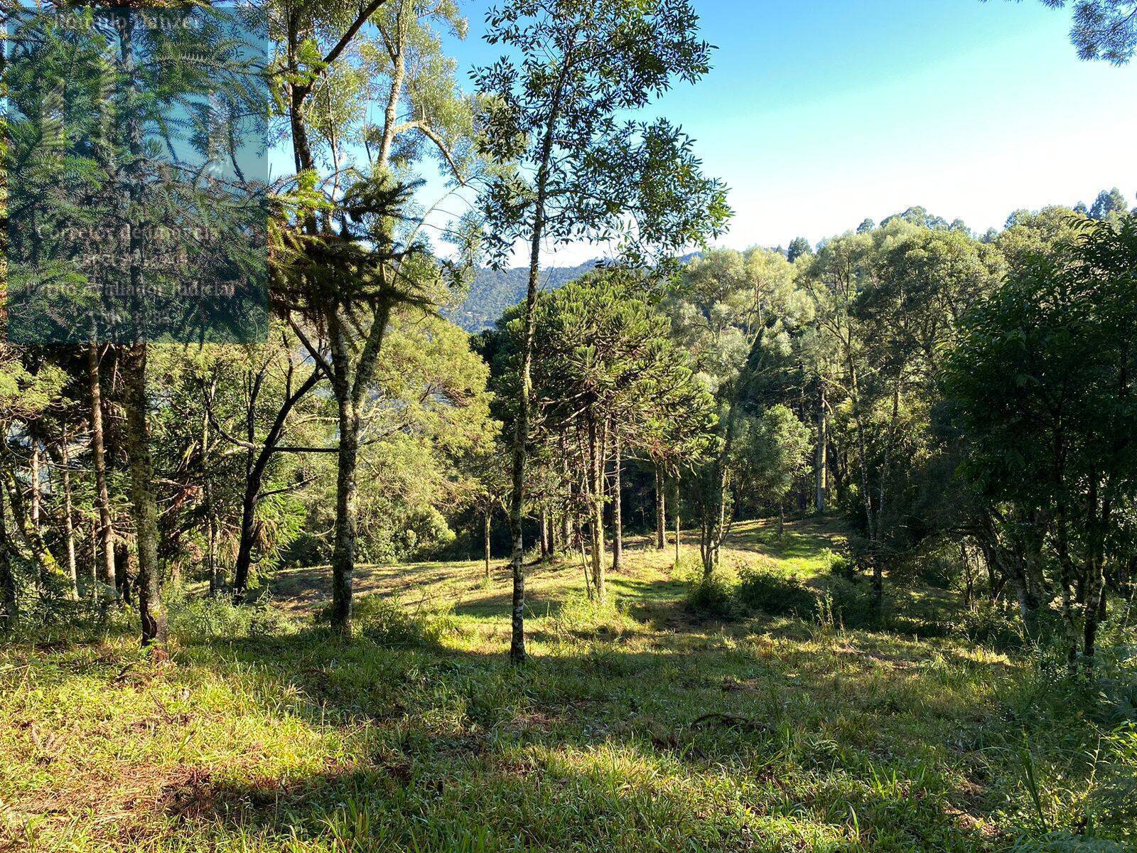 Fazenda à venda, 80000m² - Foto 15