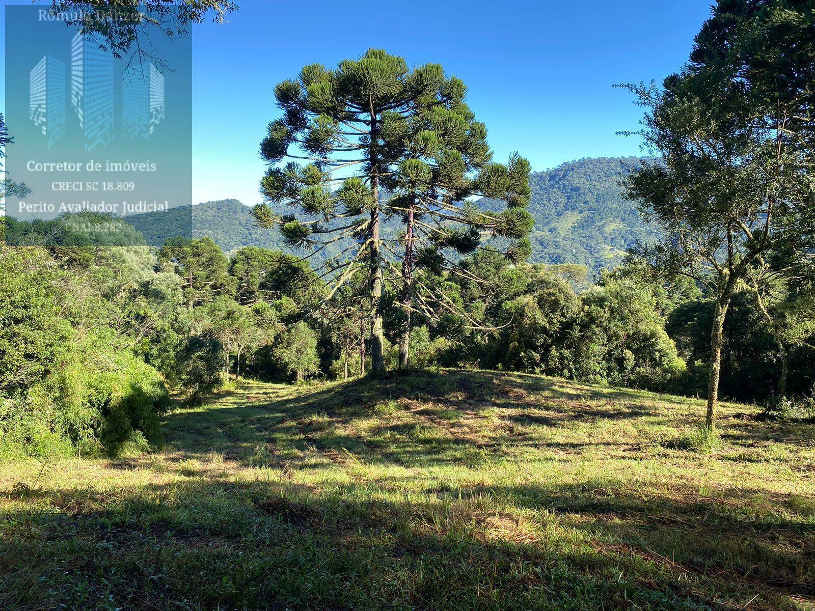 Fazenda à venda, 80000m² - Foto 16