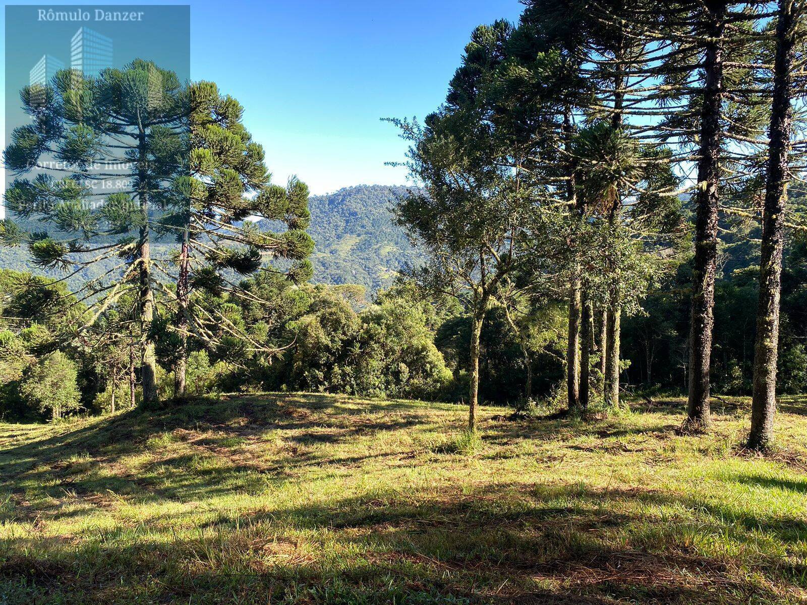 Fazenda à venda, 80000m² - Foto 17