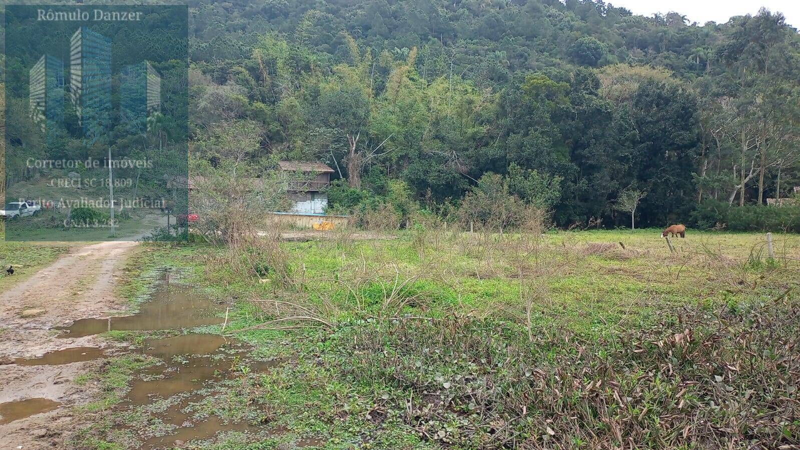 Fazenda à venda com 2 quartos, 80m² - Foto 22